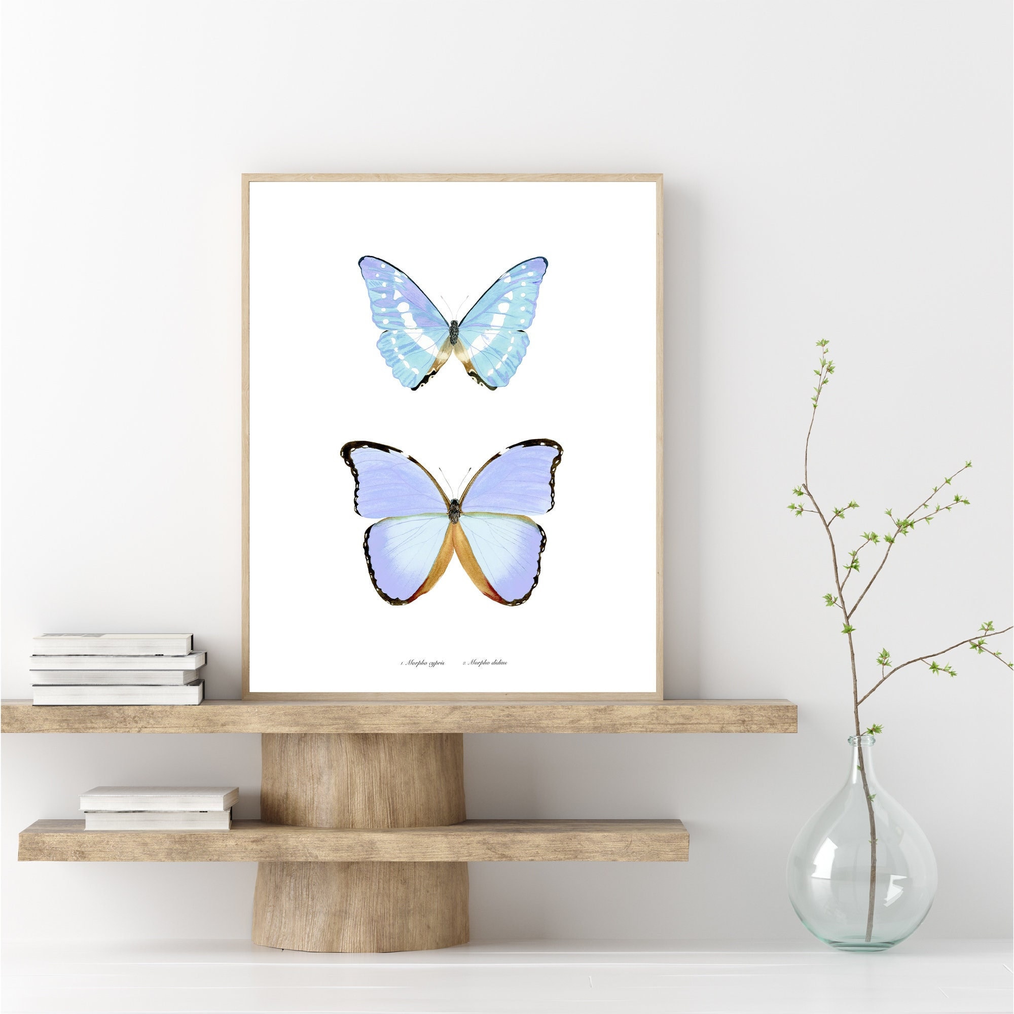 Iridescent Colorful Butterfly 24 in x 32 in Painting Canvas Art Print, by  Designart