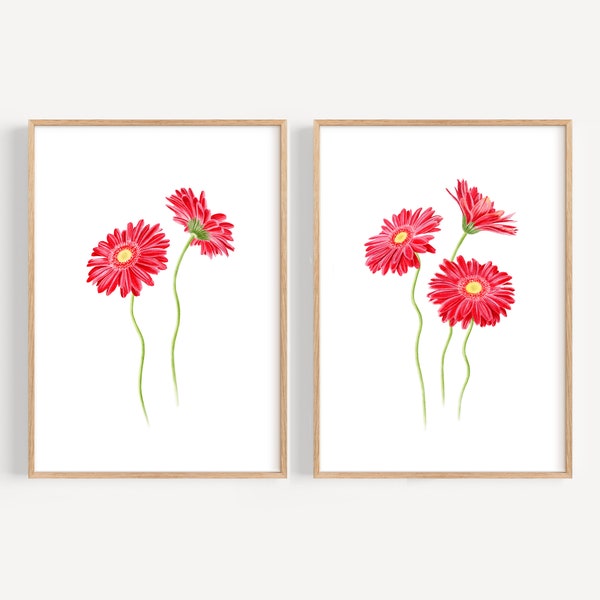 Gerbera Daisy - Etsy