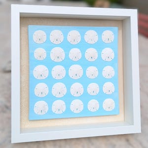 Unique Shell Art in Shadow Box: Sand Dollar Symphony