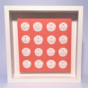 Unique shell art in a shadow box: Sand Dollar Symphony