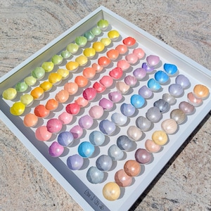 Op de afbeelding: Een presentatie van schelpvormige objecten in een witte lijst, gerangschikt in een kleurengradiënt. De schelpen variëren van groen naar geel, oranje, roze, paars, blauw, grijs en bruin. De lijst staat op een lichtgekleurd oppervlak. Afmetingen niet van toepassing.