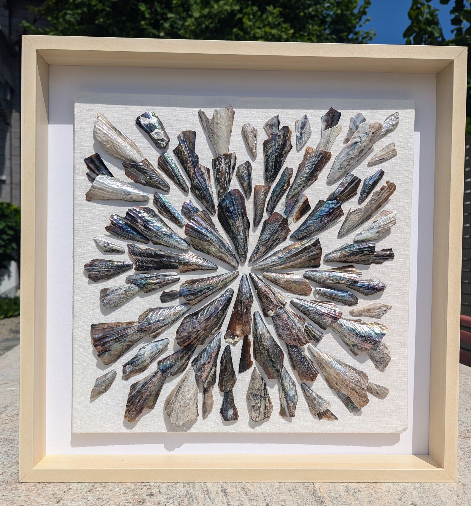 Penshell Frame Breathtaking Pen Shell Seashell Collage I - Natural Mother of Pearl ...