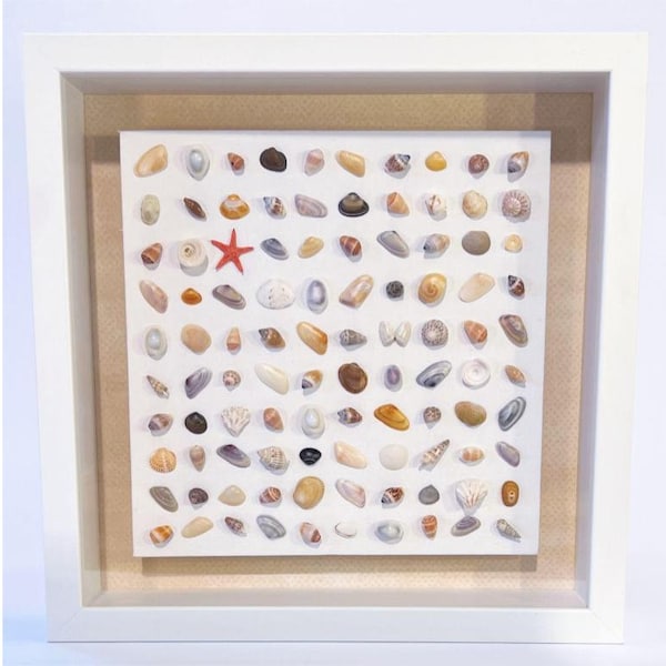 Shell Art Shadow Box - Etsy