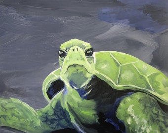 Sea Turtle paintings Originals each 12x12in
