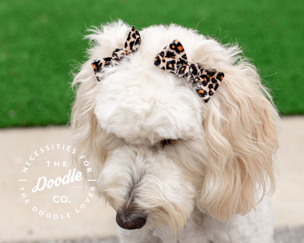 Dog Pigtail Bows Goldendoodle Bow Cheetah Velvet Dog Bow Etsy