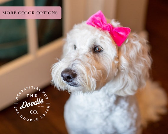 etsy dog bows