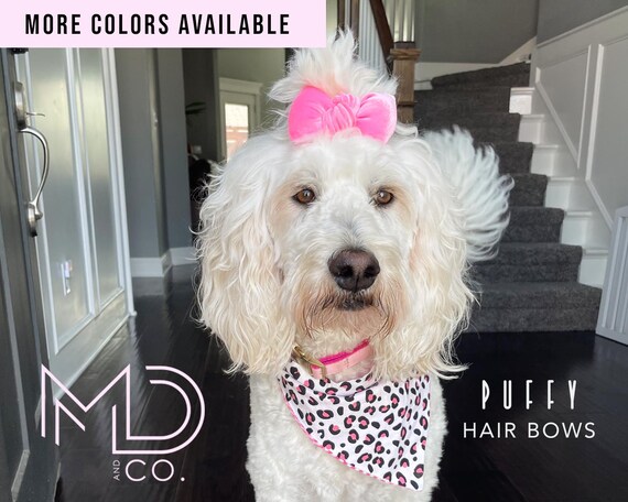 Dog Bows Dog Hair Bow Puffy Hair Bow Golden Doodle Dog - Etsy Dog Bows Dog Hair Bow Puffy Hair Bow Golden Doodle Dog - Etsy