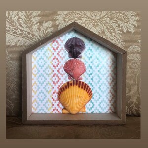 Standing Shadow Box Shell Home Decor