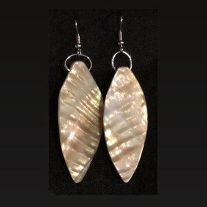 Shell Earrings