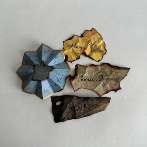Peut inclure: Une étoile en papier plié bleu avec le nom Fleur écrit dessus, accompagnée de trois morceaux de parchemin vieilli aux bords brûlés portant les noms Harry Potter, Cedric D. et Viktor K. écrits à l'encre noire sur un fond blanc uni.