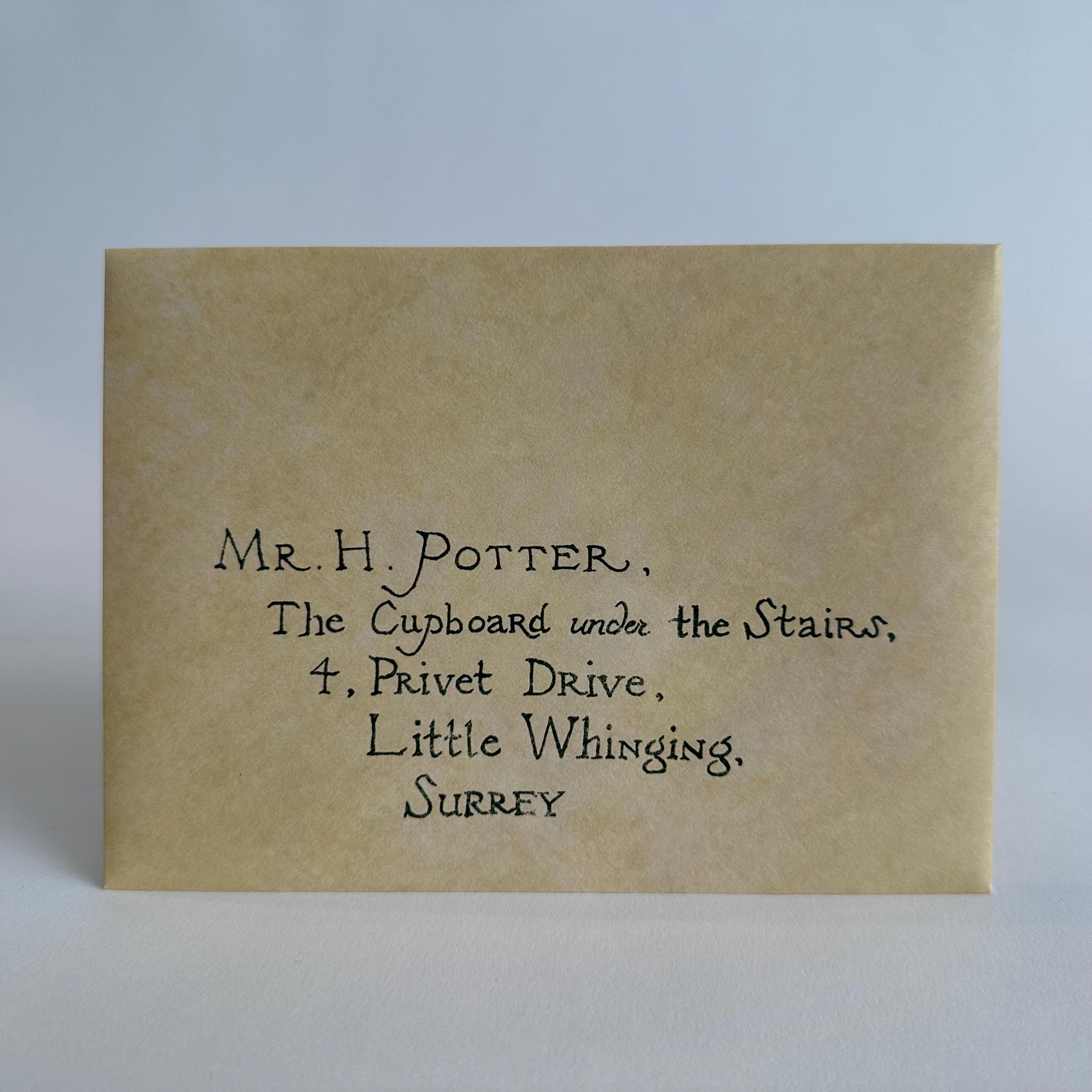 Targa da parete con scritta in lingua inglese Hogwarts Acceptance