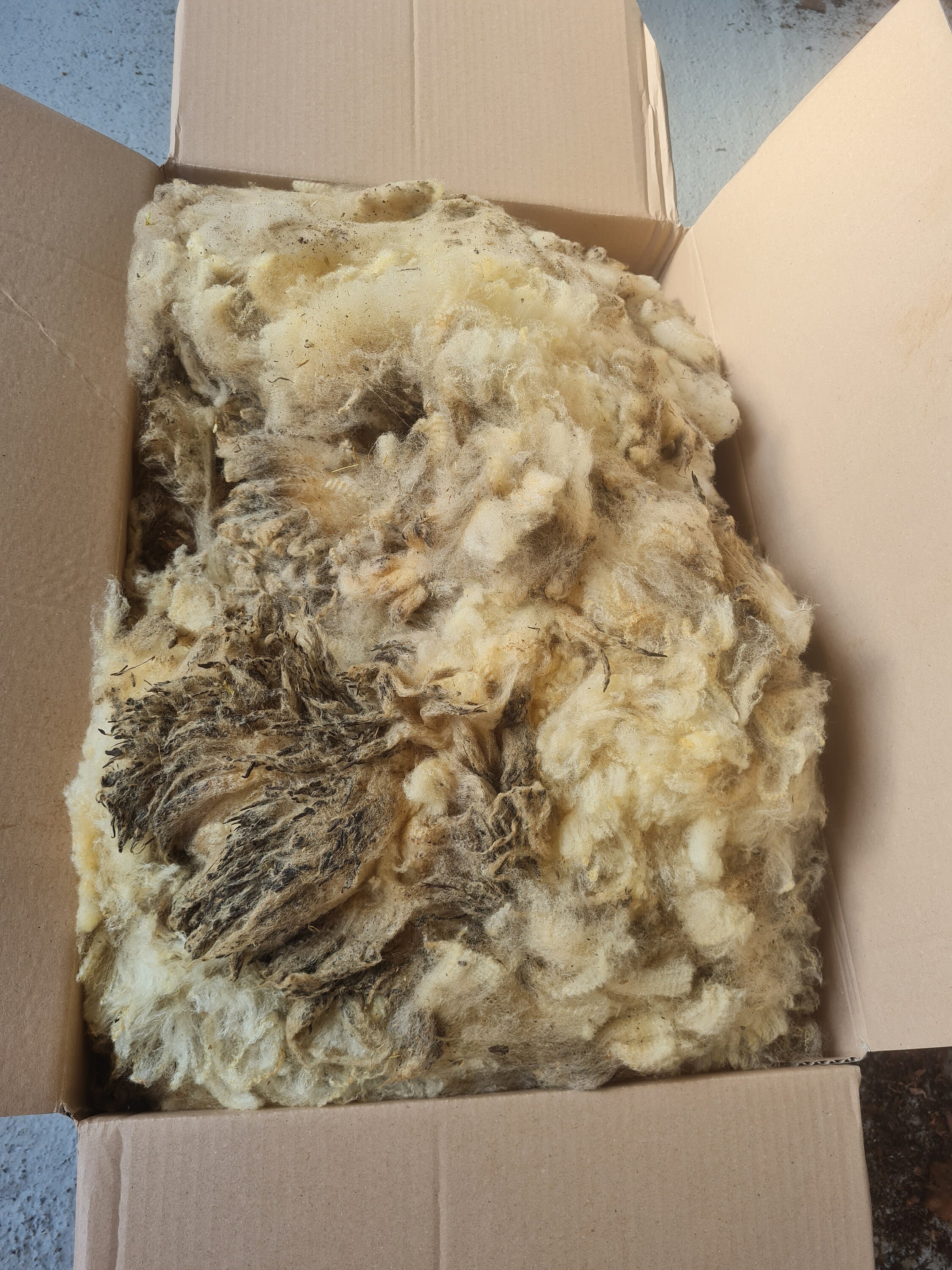 2 kg Bio Schafwolle, Rohwolle für Dünger, Wasserspeicher Etsy.de