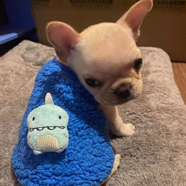 Xxs Dog Clothes Boy Etsy