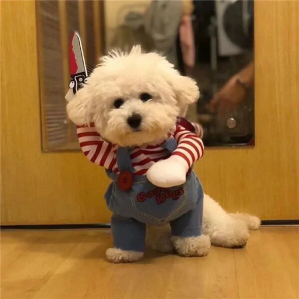 Halloween Costume For Dogs | Cute Cosplay Costume For Dog | Halloween Pet Costume | Pet Dressing Up Cloth Party | S-XL Pet Cloth