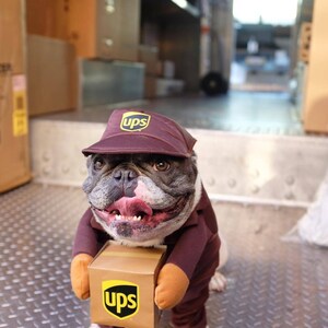 The Postal Pup Parade: Unleash the UPS/USPS Pet Costume | Cute Cosplay Costume For Dog | Halloween Pet Costume | S-L Pet Cloth