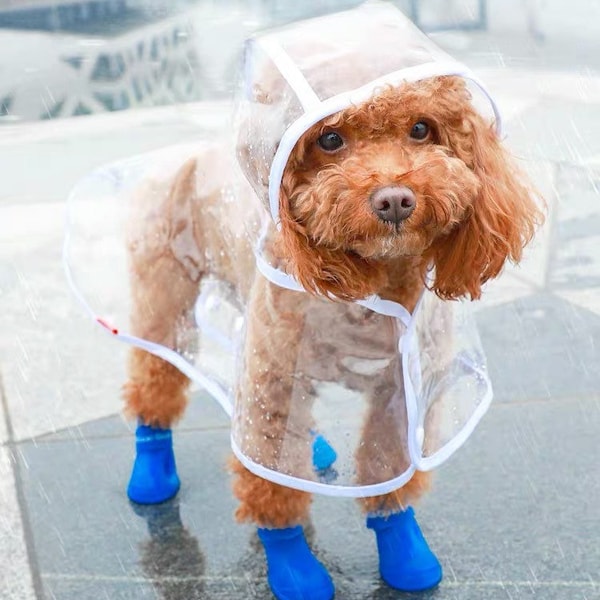 Dog Raincoat | Cute Dog Raincoat | Clear Coat | XS-3XL Raincoat | Pet Raincoat | Cat Raincoat