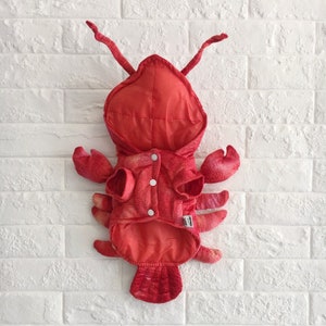 Claw-some Halloween: The Ultimate Pet Lobster Costume Cute Cosplay Costume For Dog Pet Dressing Up Cloth Party XS-XL Pet Cloth image 9