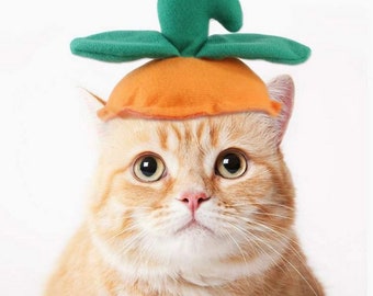 Dog Cat Pumpkin Hat | Warm & Soft Pet Hat | Halloween Pet Costume | All Breeds | One Size