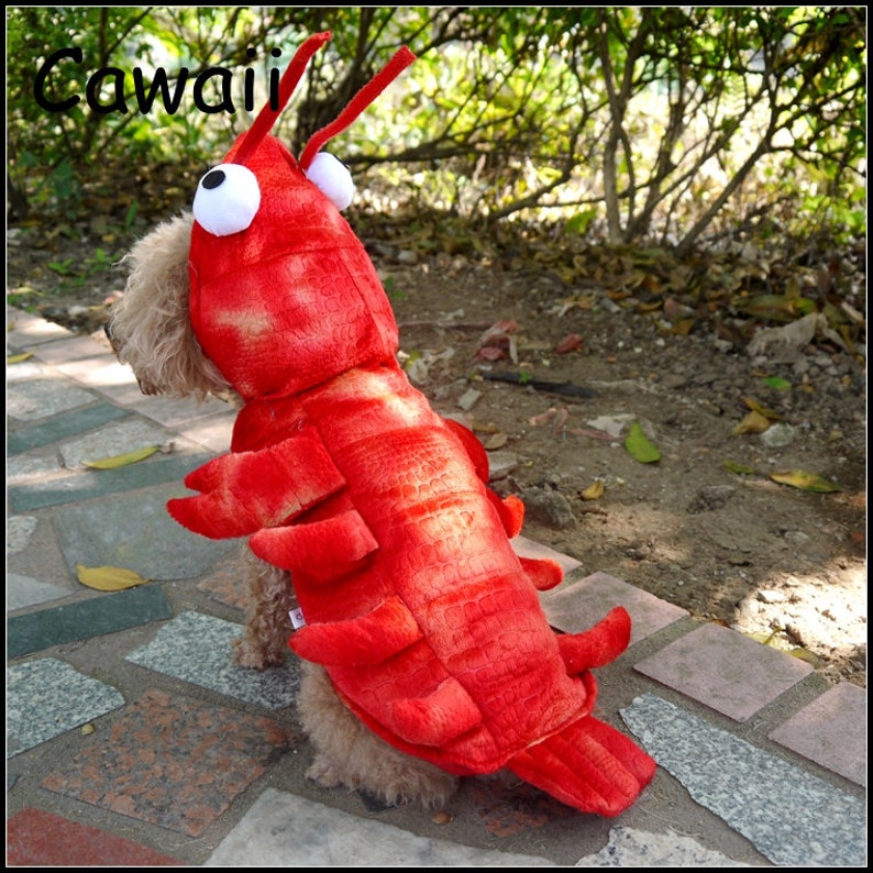 Claw-some Halloween: The Ultimate Pet Lobster Costume Cute Cosplay Costume For Dog Pet Dressing Up Cloth Party XS-XL Pet Cloth image 2