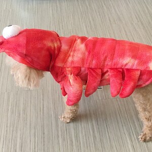 Claw-some Halloween: The Ultimate Pet Lobster Costume Cute Cosplay Costume For Dog Pet Dressing Up Cloth Party XS-XL Pet Cloth image 3