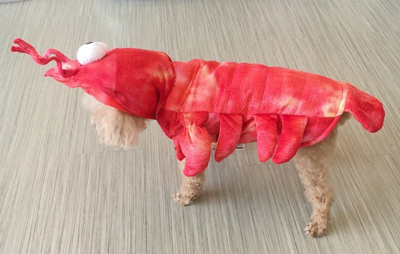 Claw-some Halloween: The Ultimate Pet Lobster Costume Cute Cosplay Costume For Dog Pet Dressing Up Cloth Party XS-XL Pet Cloth image 3