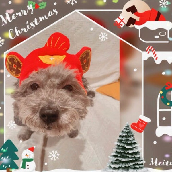 Chinese Dog Costume Etsy