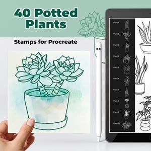 Pode incluir: Uma impressão de arte digital com uma ilustração em aquarela de duas suculentas em vasos. A impressão é segurada em uma mão, com um tablet e uma caneta stylus no fundo. O texto diz "40 Potted Plants" e "Stamps for Procreate".