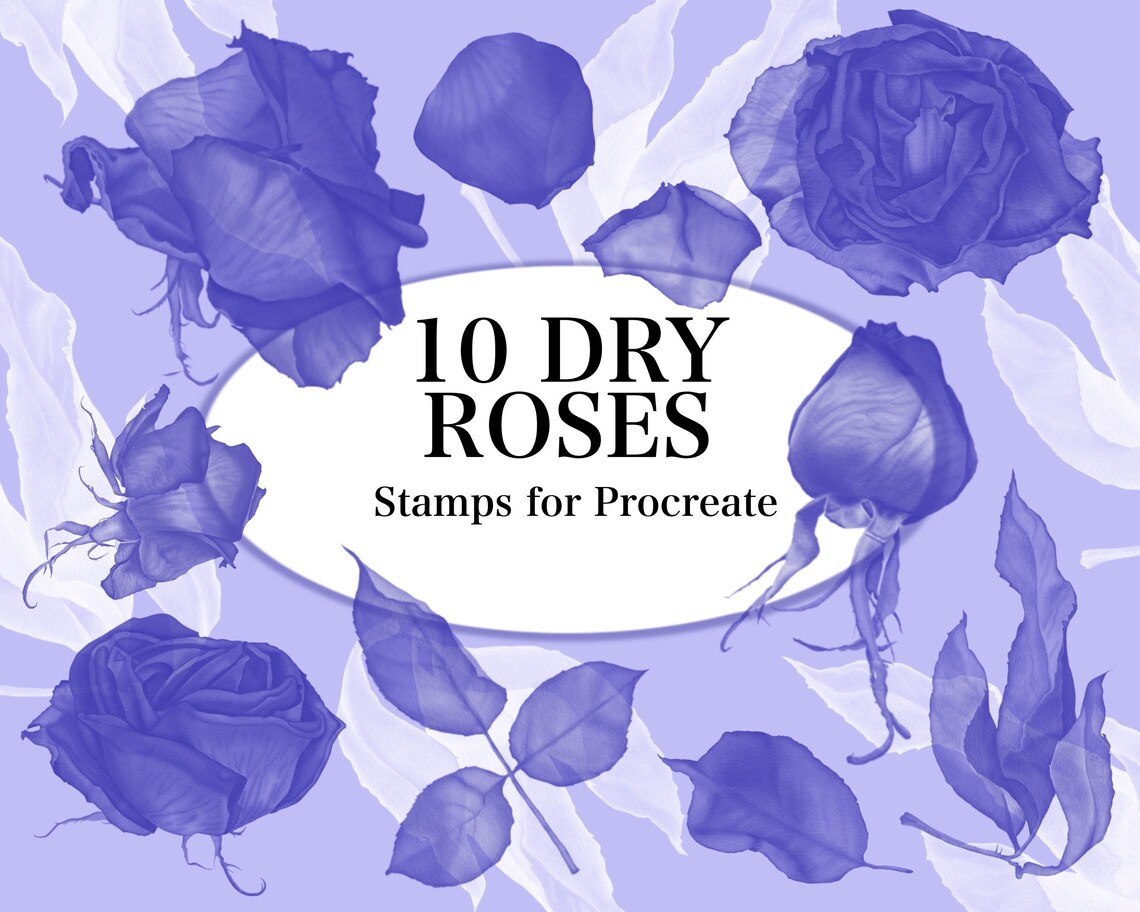 Dry Roses Stamp Brush Set for Procreate (digital Download) - Etsy