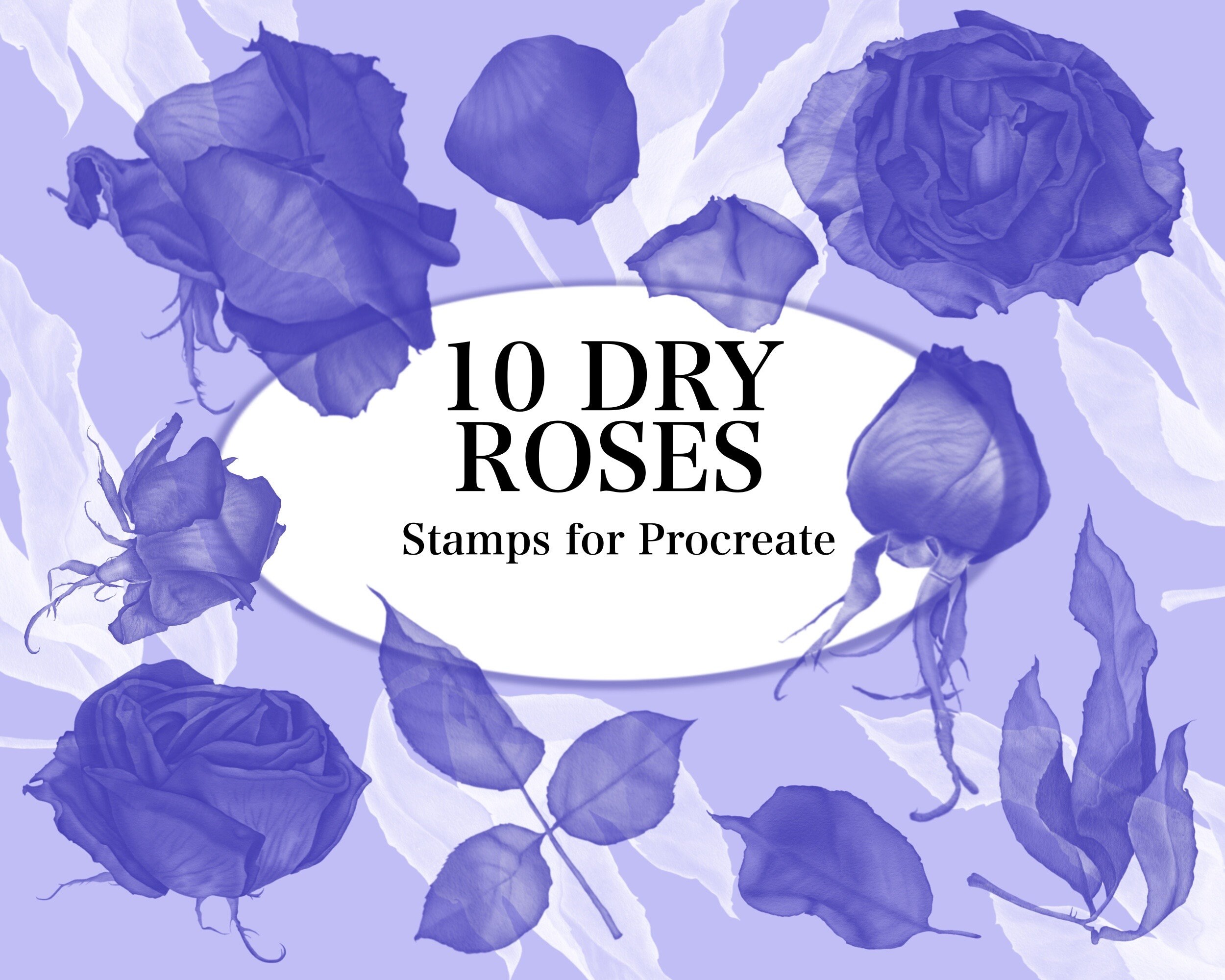 Dry Roses Stamp Brush Set for Procreate (digital Download) - Etsy