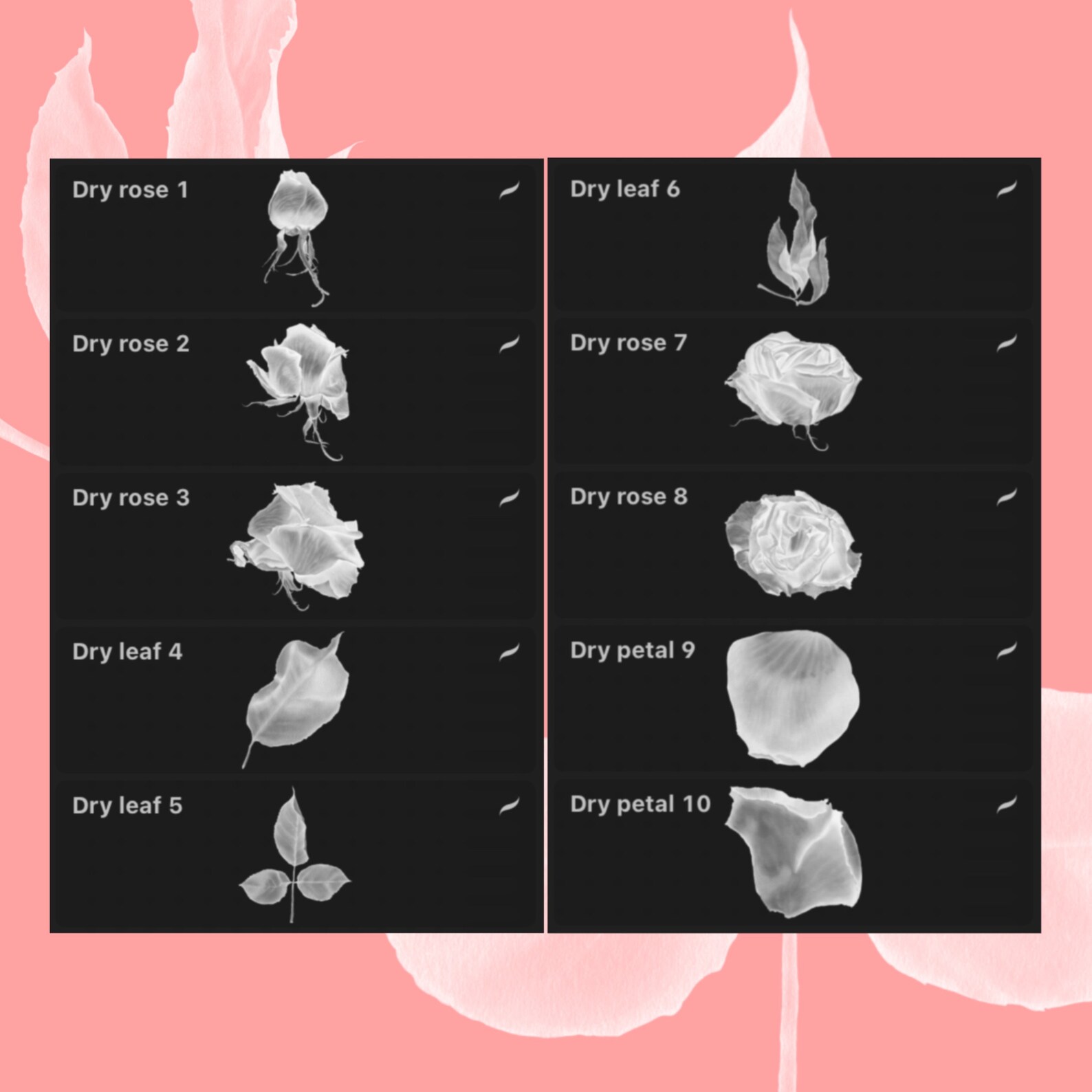 Dry Roses Stamp Brush Set for Procreate (digital Download) - Etsy