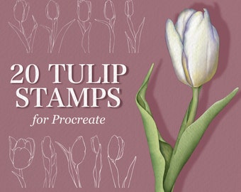May include: A set of 20 digital tulip stamps for Procreate, featuring a variety of tulip designs in both line art and filled styles. The stamps are perfect for adding a touch of spring to your digital art.