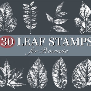 Könnte beinhalten: Ein Set mit 30 Blattstempeln für Procreate, mit verschiedenen Blattformen und -texturen in Weiß auf dunkelgrauem Hintergrund. Der Text "30 LEAF STAMPS for Procreate" ist in Weiß auf blauem Hintergrund dargestellt.