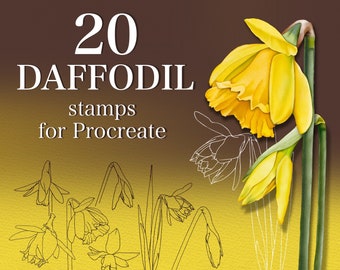 Sellos de narcisos para Procreate, pinceles de flores de primavera (20)