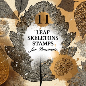 Puede incluir: Una ilustración digital de 11 esqueletos de hojas, perfectos para usar como sellos en la aplicación Procreate. Las hojas están en varios tonos de marrón y negro, con un fondo blanco.