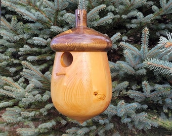 Acorn Bluebird House, Wooden Bird House, Amish Made