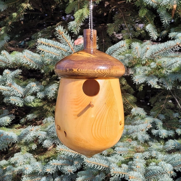 Acorn Bluebird House, Wooden Bird House, Amish Made