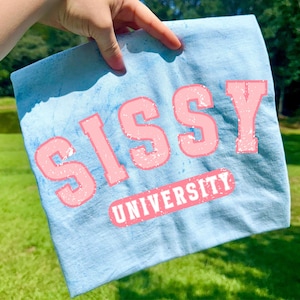 Sissy PNG, Kids Png, Girly Png, University Png, Sibling Png, Feral Png, Preppy Png, Toddler Png, Grunge Png, Sister Crew Png, Sibling Crew