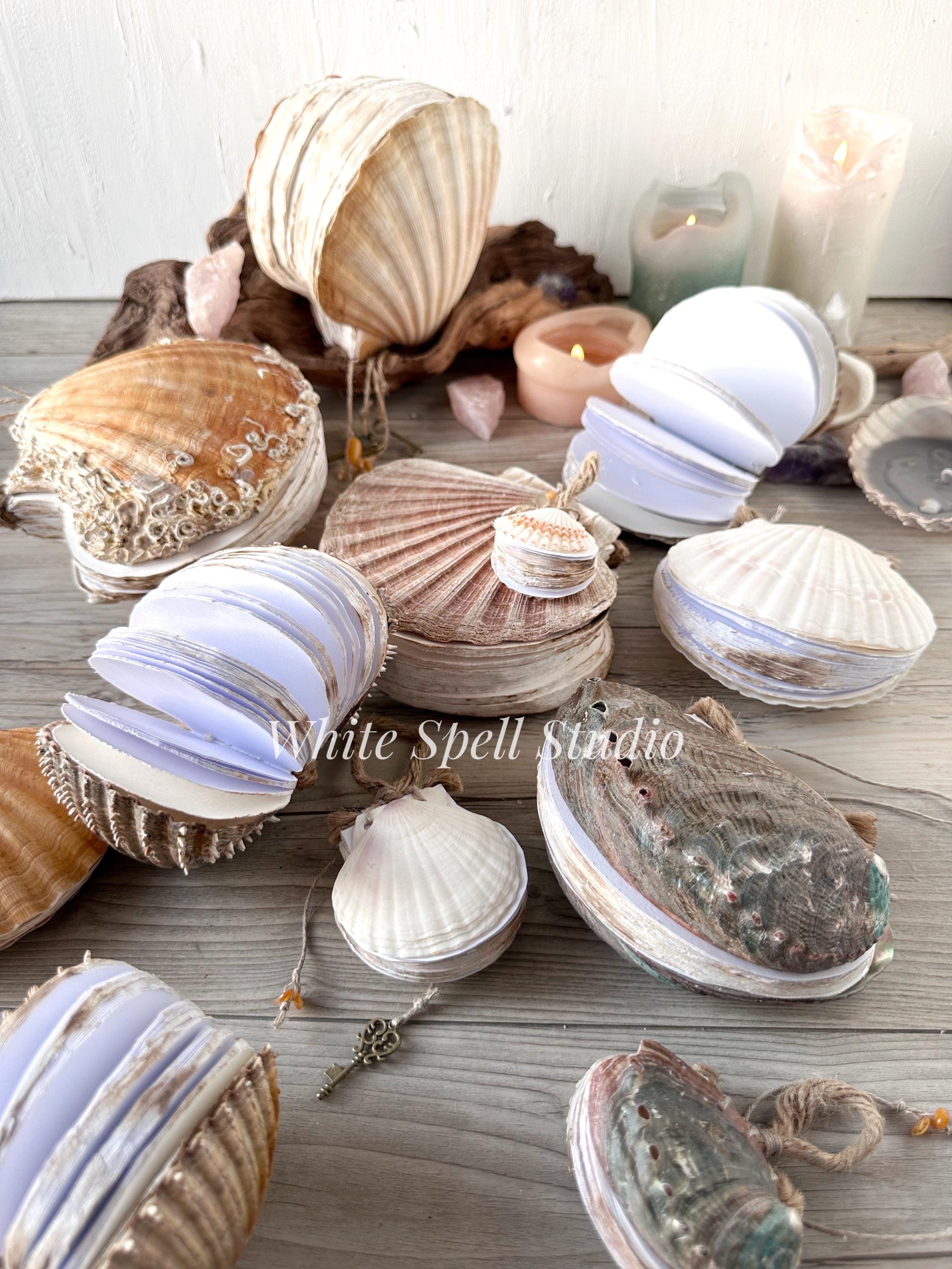Abalon Shell Notebook, Bound Seashell Journal, Drawn Book, Grimoire ...
