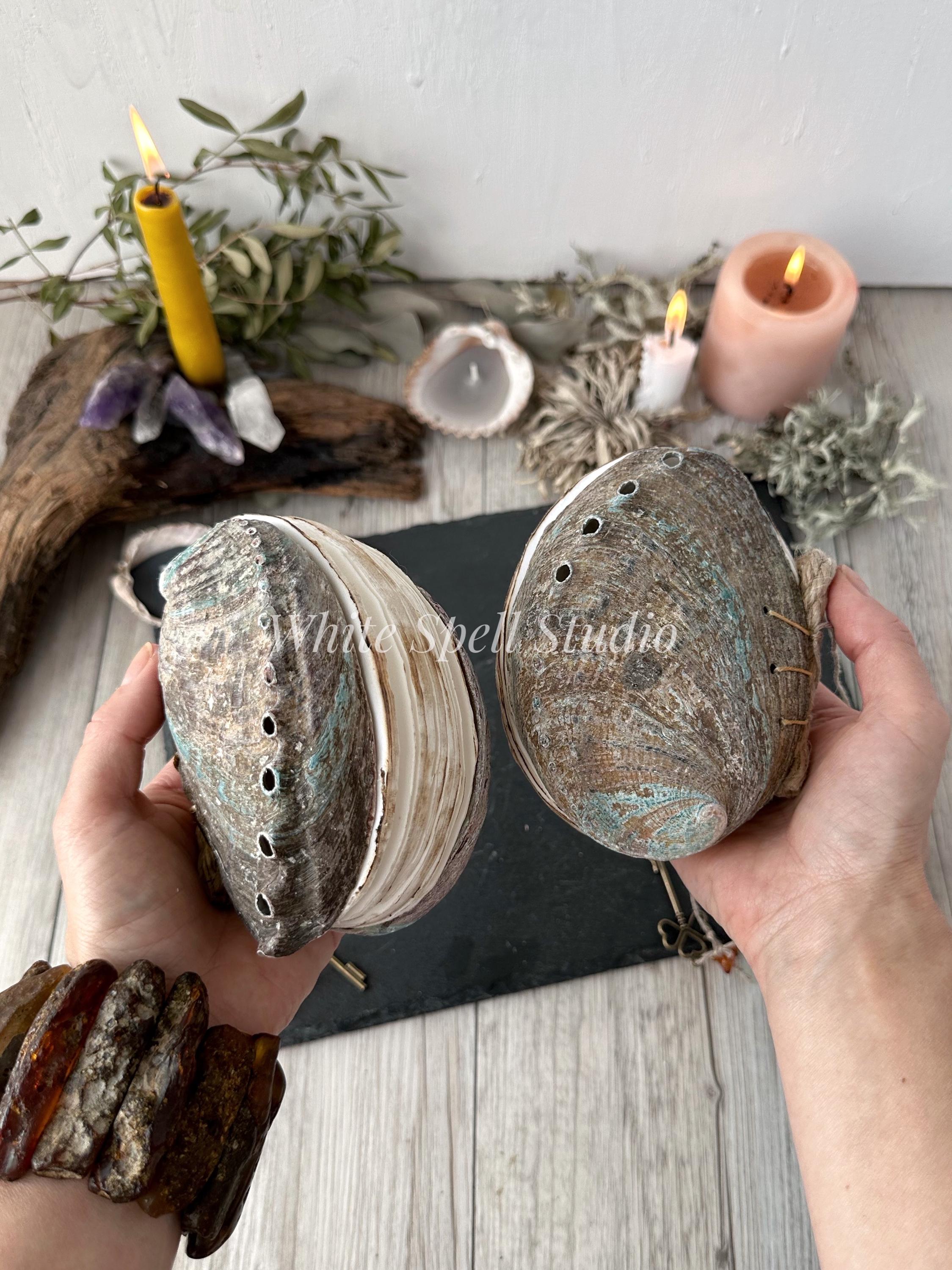 Abalon Shell Notebook, Bound Seashell Journal, Drawn Book, Grimoire ...