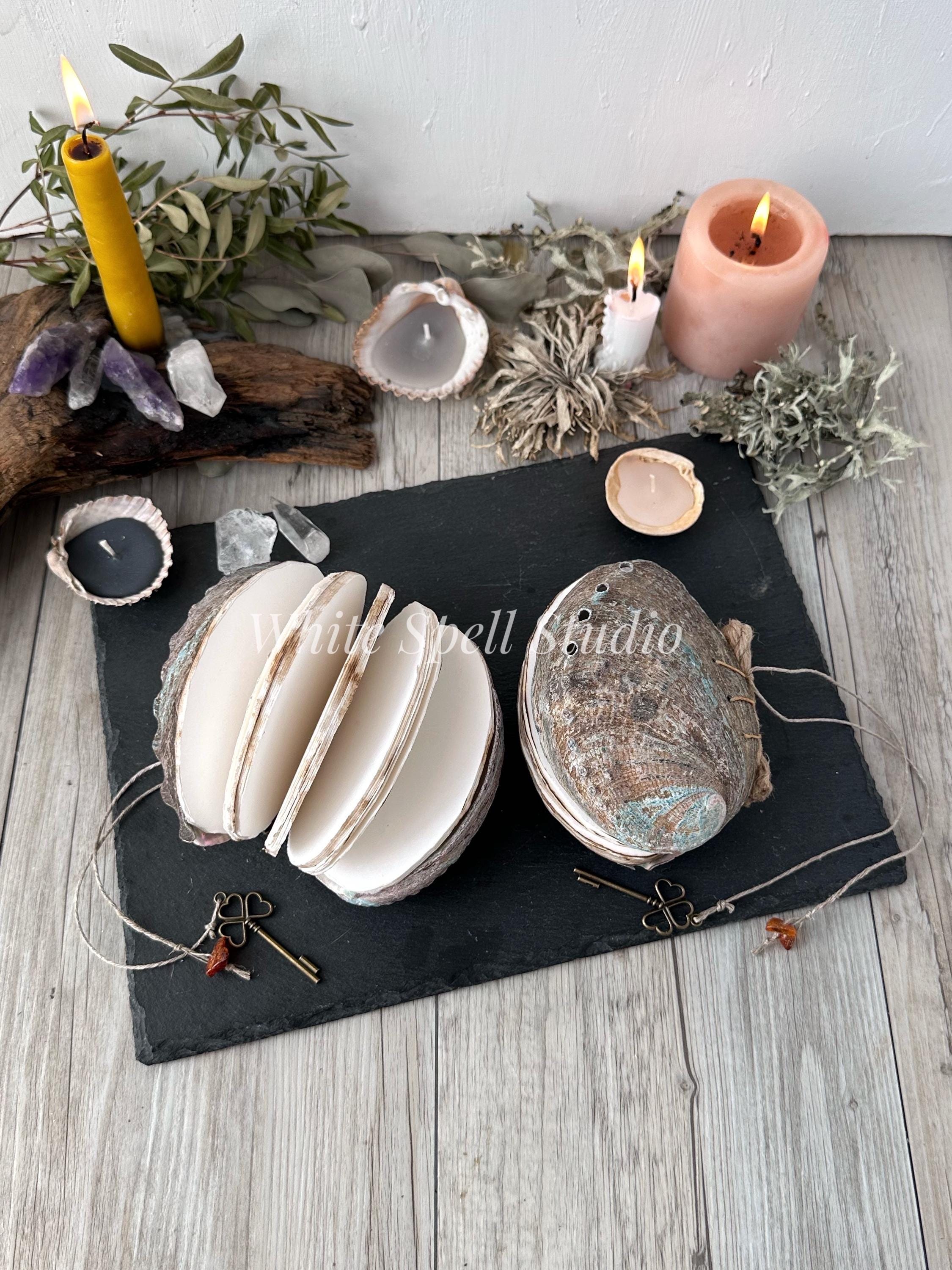Abalon Shell Notebook, Bound Seashell Journal, Drawn Book, Grimoire ...