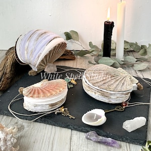 May include: Three white seashell candles with a white and purple seashell candle, a black and white candle, and a clear quartz crystal on a black slate surface.  The candles are surrounded by other seashells and crystals.