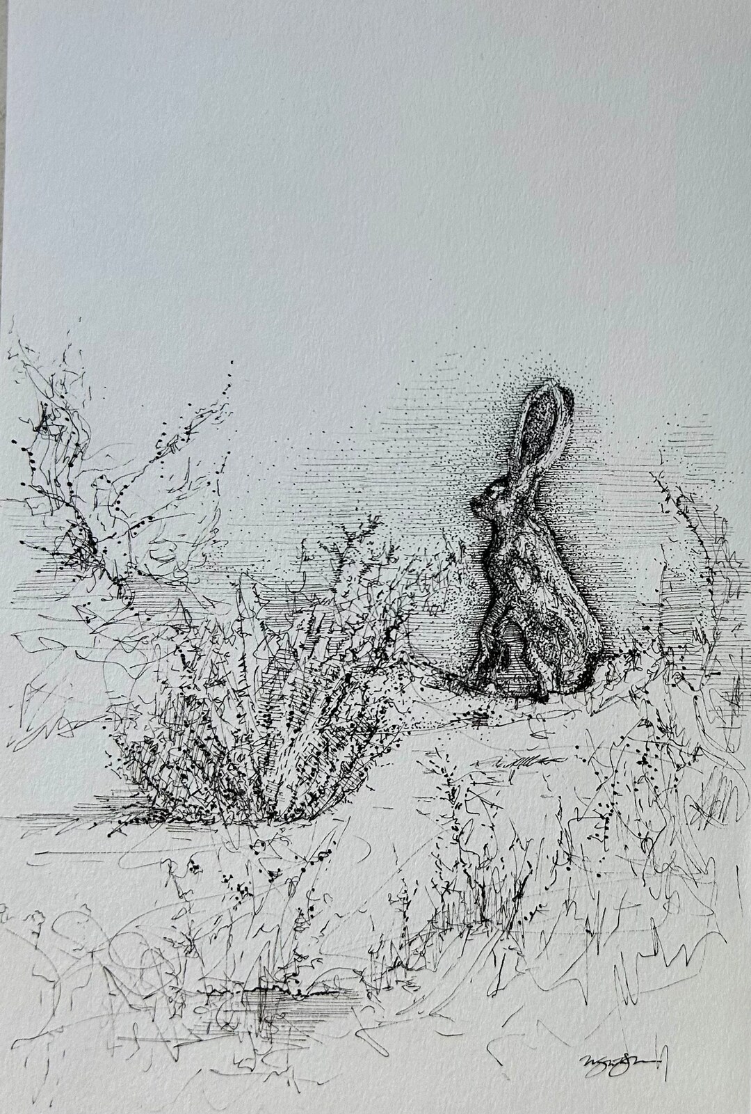 Line Drawing Jack Rabbit Original Pen Drawing: Jack Rabbit - Etsy