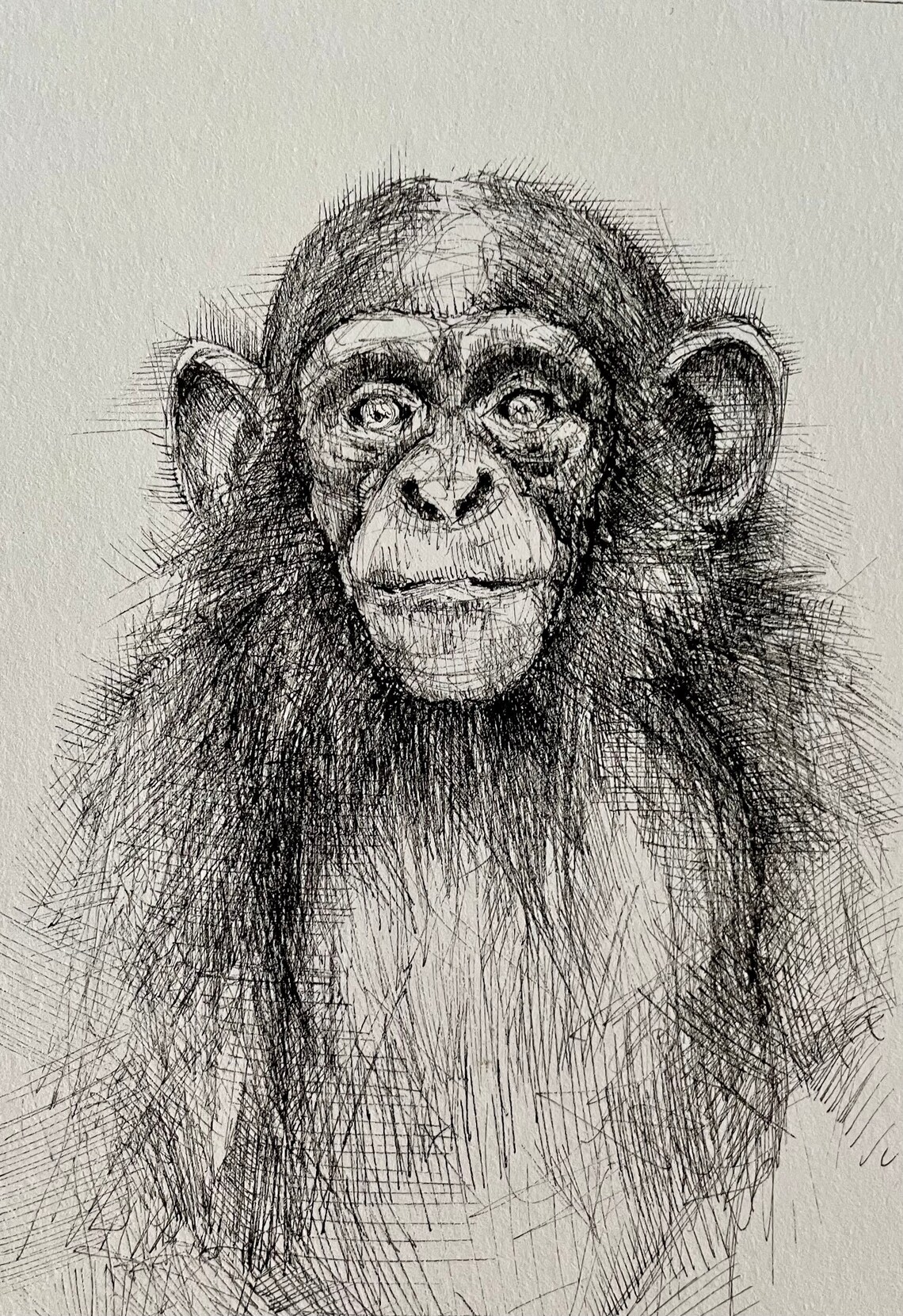 Original Framed Pen Drawing Monkey Etsy