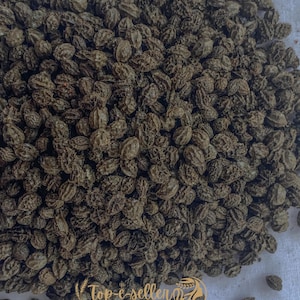 Papaya Seeds 50g Dwarf Papaya | 50g fresh seeds | Same Day Dispatch 200+ seeds paw paw seeds from UK