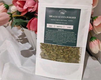 Miracle Leaf (Bryophyllum pinnatum) medicinal plant crushed leaves