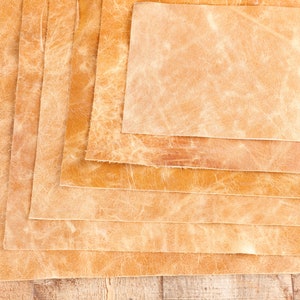 May include: Stack of six pieces of light brown leather, each with a different texture and shade of brown.