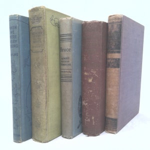 Vintage Book Set with Featured Title | *Bruce/Albert P. Terhune* | Decorative Vintage Book Sets | Book Décor | 5 Books/Set