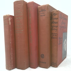 Set di libri vintage con titolo in primo piano / * The Sound and The Fury / William Faulkner * / Set di libri vintage decorativi / Decorazione del libro / 5 libri / Set