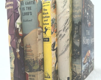 Set di libri vintage con titolo in primo piano / Lo stallone nero e Satana / Walter Farley / Set di libri decorativi vintage / Decorazione del libro / 5 Libro / Set