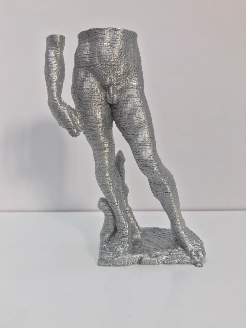 Michelangelo's David Portraits Art Sculpture Decorations Etsy